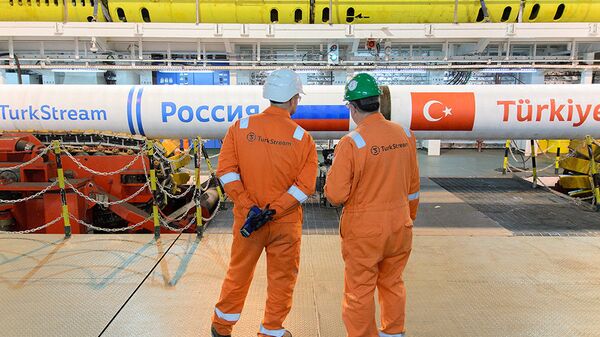 Predstavnici projekta Turski tok kontrolišu proizvodni proces - Sputnik Srbija
