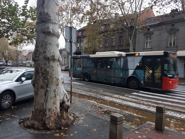 Niko neće u šofere — region spasavaju „penzioneri“ - Sputnik Srbija