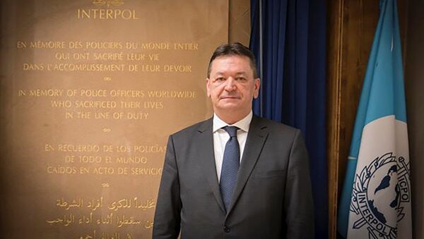 Potpredsednik Interpola Aleksandar Prokopčuk - Sputnik Srbija