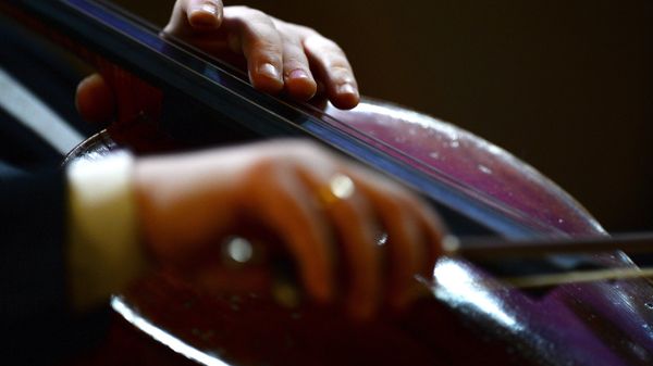 Violončelo Violončelo - Sputnik Srbija