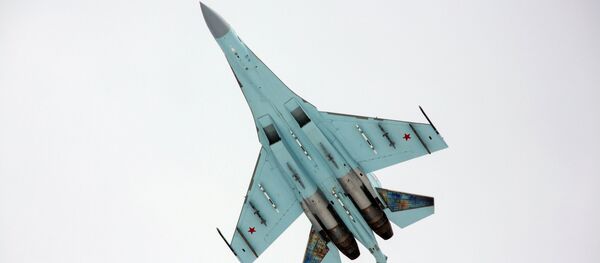 Вишенаменски ловац Су-27 - Sputnik Србија