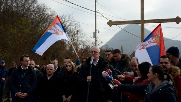 Gradonačelnik Kosovoske Mitrovice Goran Rakić govori na protestu u Rudaru, KiM - Sputnik Srbija