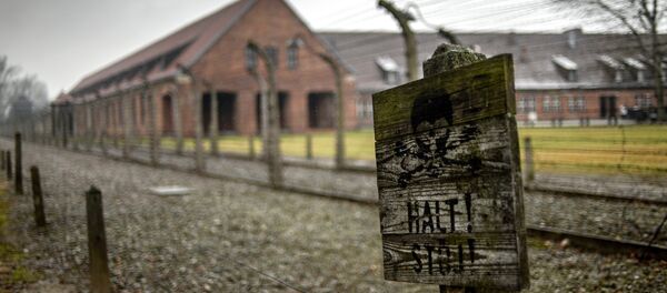 70. godišnjica oslobođenja Aušvica 70. godišnjica oslobođenja Aušvica - Sputnik Srbija