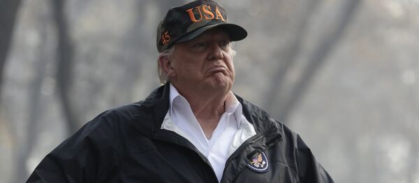 Donald Tramp - Sputnik Srbija