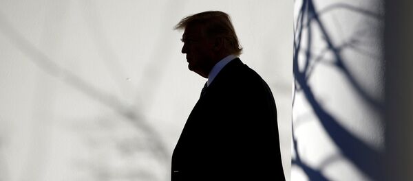 Председник САД Доналд Трамп Председник САД Доналд Трамп - Sputnik Србија