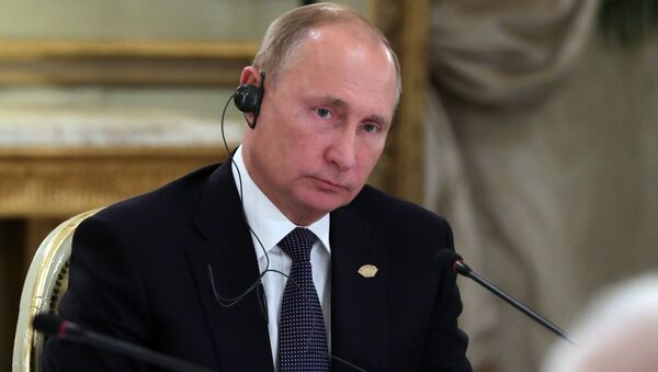 Prezident RF Vladimir Putin na sammite Gruppы dvadcati G20 v Buэnos-Aйrese - Sputnik Srbija