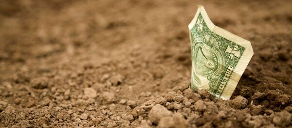 Američki dolar u zemlji - Sputnik Srbija