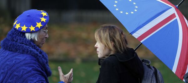 Анти-брегзит обележја у Лондону, 27. нов. 2018 - Sputnik Србија