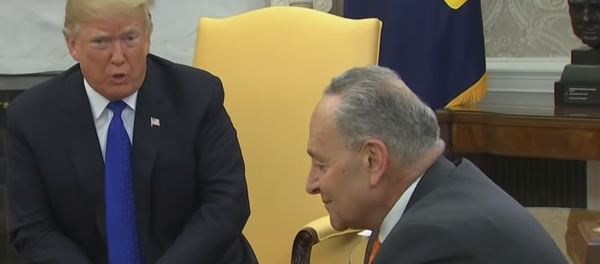 Donald Tramp Donald Tramp - Sputnik Srbija