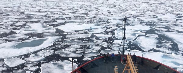 Арктик - Sputnik Србија