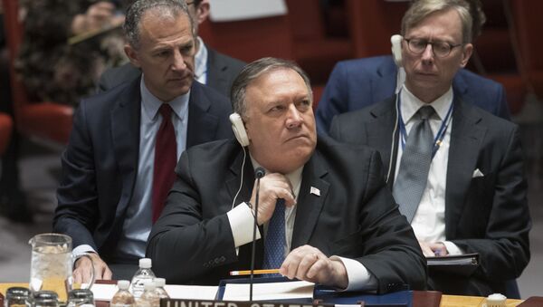 Američki državni sekretar Majk Pompeo na zasedanju Saveta bezbednosti UN - Sputnik Srbija