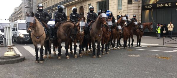 Policija u Parizu Policija u Parizu - Sputnik Srbija