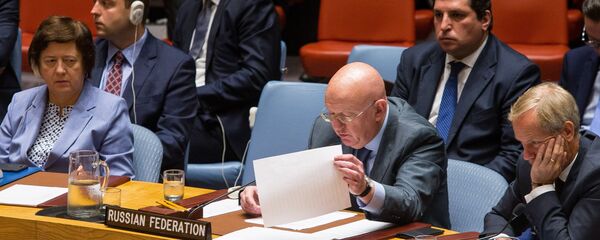 Василиј Небензја - Sputnik Србија