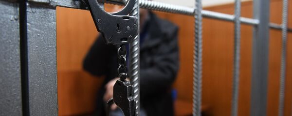 Lisice  - Sputnik Srbija