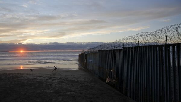 Čovek se igra sa psom pored zida na granici SAD i Meksika - Sputnik Srbija