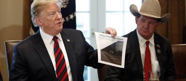 Доналд Трамп Доналд Трамп - Sputnik Србија