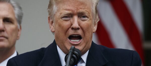Predsednik SAD Donald Tramp na konferenciji za medije u Beloj kući - Sputnik Srbija