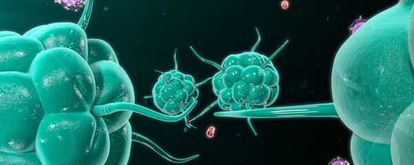 Ћелије рака нападају имуни систем човека Ћелије рака нападају имуни систем човека - Sputnik Србија