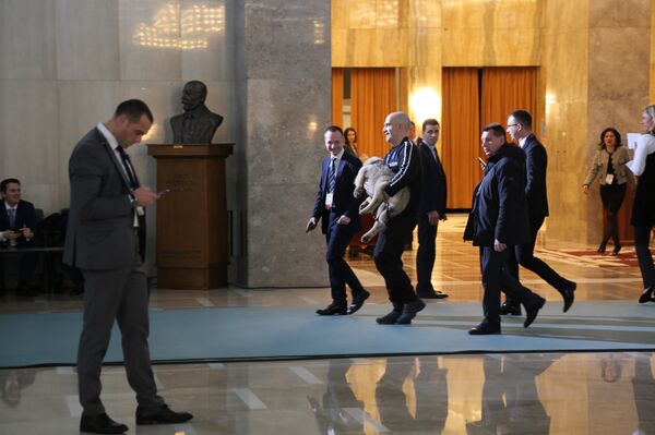 Štene Paša koje srpski predsednik poklanja ruskom - Sputnik Srbija