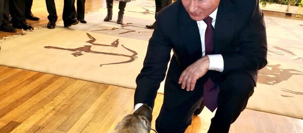 Путин са штенетом које му је поклонио српски председник - Sputnik Србија