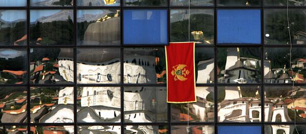 Crna Gora, zastava - Sputnik Srbija