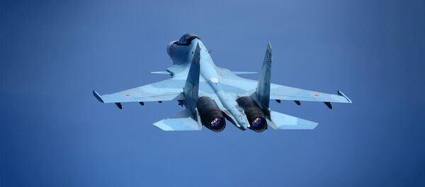 Ловац Су-30 - Sputnik Србија
