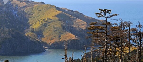 Курили - Sputnik Србија