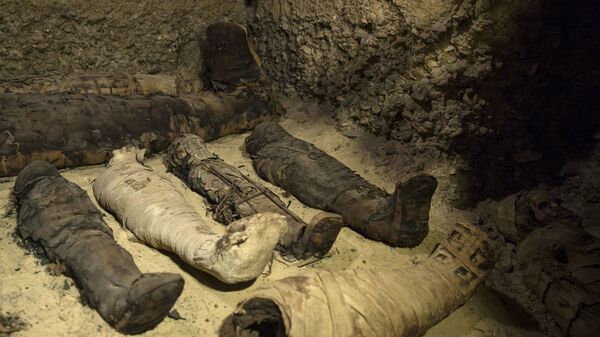 Фараонска гробница са 50 мумија у граду Миња - Sputnik Србија
