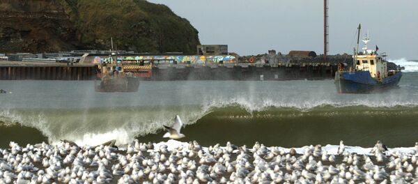 Острво Итуруп, део Курилских острва Острво Итуруп, део Курилских острва - Sputnik Србија