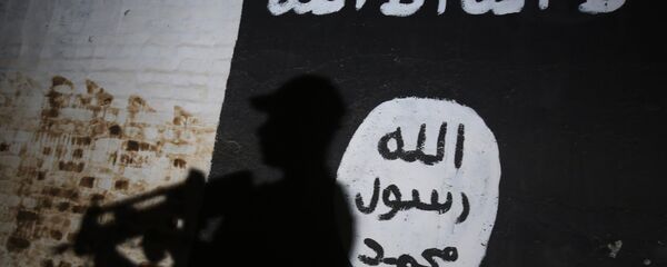 Zastava DAEŠ-a - Sputnik Srbija