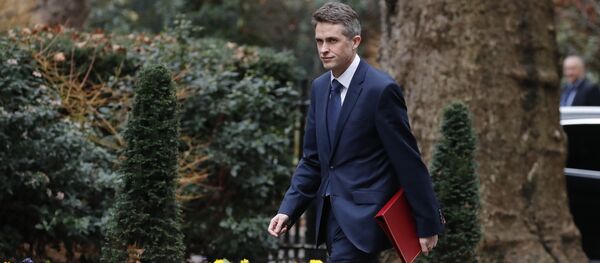 Британски министар одбране Гавин Вилијамсон - Sputnik Србија