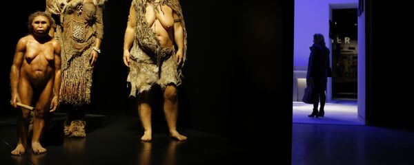 Žene homo sapijensa i neandertalca u Muzeju antropologije u Lionu - Sputnik Srbija