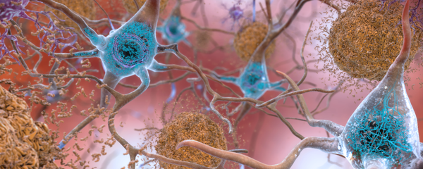 Neuronska mreža - Sputnik Srbija