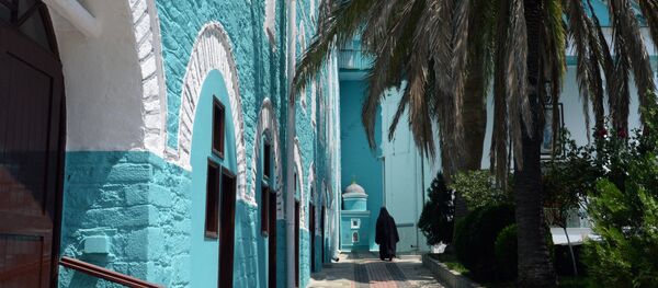 Света гора, Свети пантолојмен - Sputnik Србија