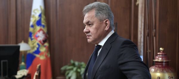 Ministar odbrane Rusije Sergej Šojgu - Sputnik Srbija