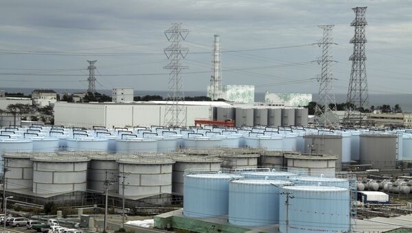 Nuklearna elektrana Fukušima u Japanu - Sputnik Srbija