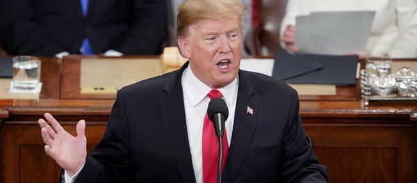 Председник САД Доналд Трамп Председник САД Доналд Трамп - Sputnik Србија