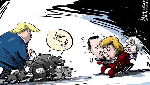 Sirijski teroristi iz Evrope - Sputnik Srbija