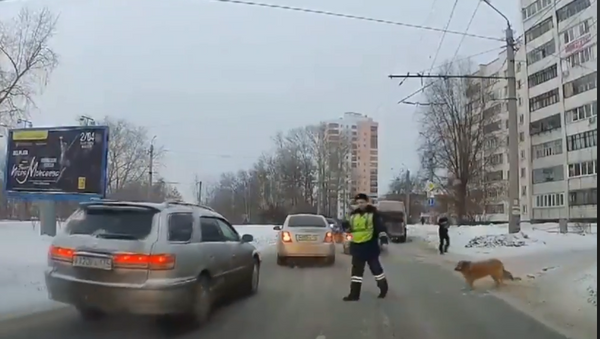 Policajac zaustavio saobraćaj da pas pređe ulicu - Sputnik Srbija