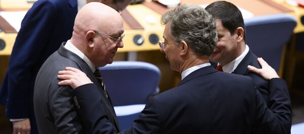 Vasilij Nebenzja u Savetu bezbednosti sa nemačkim kolegom - Sputnik Srbija