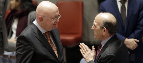 Василиј Небензја - Sputnik Србија