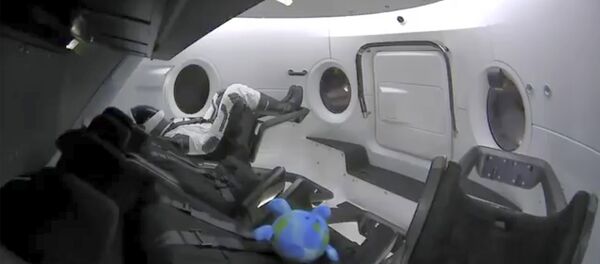 Lutka Ripli u unutrašnjosti Dragona - Sputnik Srbija