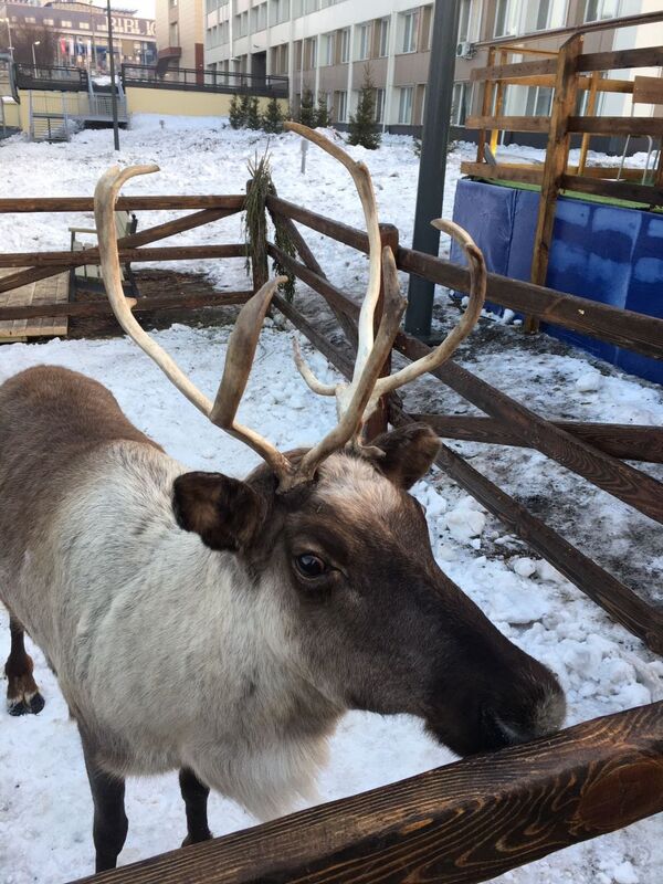 Село - Sputnik Србија