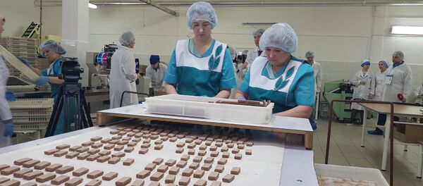 U fabrici čokolade je uvek prijatno U fabrici čokolade je uvek prijatno - Sputnik Srbija