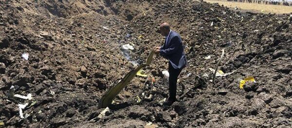 Krater na mestu pada aviona u Africi - Sputnik Srbija