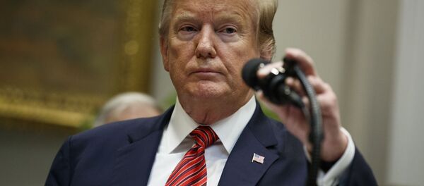 Prezident SŠA Donalьd Tramp - Sputnik Srbija