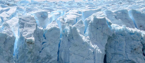 Glečer Grej u Čileu Glečer Grej u Čileu - Sputnik Srbija