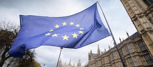 Застава ЕУ у Лонодну поред зграде парламента - Sputnik Србија