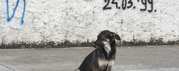 НАТО бомбардовање 1999 - Sputnik Србија