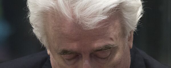 Radovan Karadžić - Sputnik Srbija